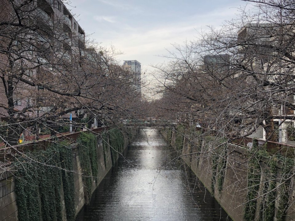 色々なかたちで。。。の画像